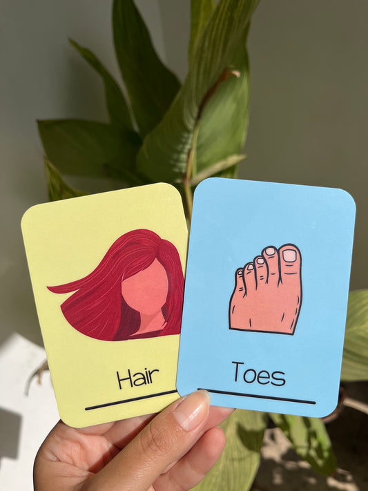 Body Parts Flashcards